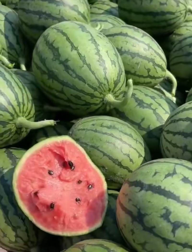 山东精品全美2k西瓜，质量好，承接平台保证质量欢迎咨询