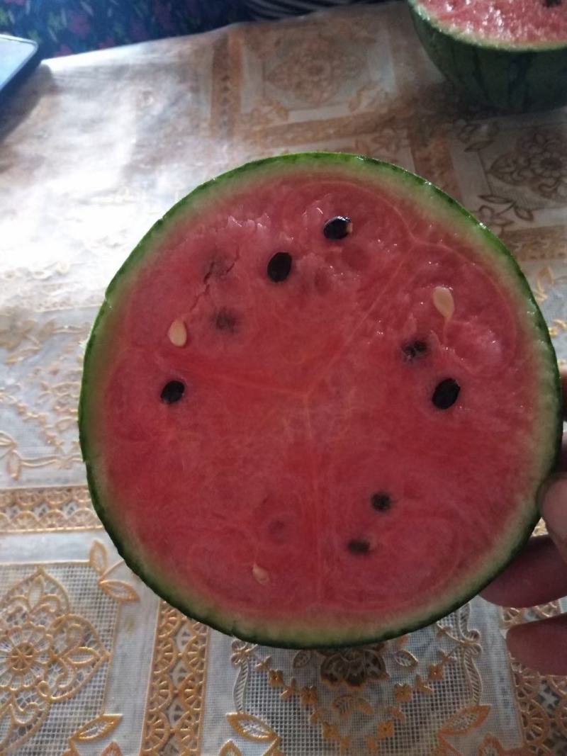 山东精品全美2k西瓜，质量好，承接平台保证质量欢迎咨询