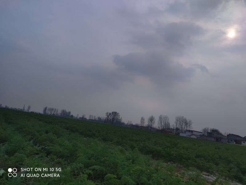 近期上市，有需要的可以联系，比较优惠