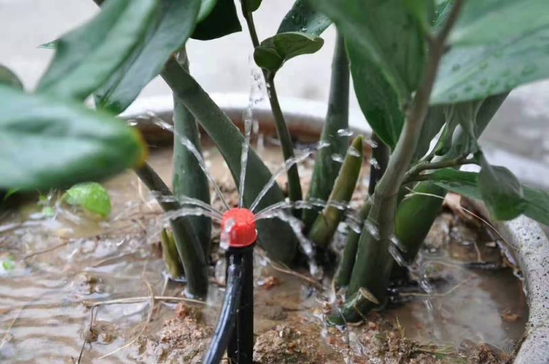 8孔流量可调节滴头小红帽果树滴灌可拆清洗厂家销售包邮