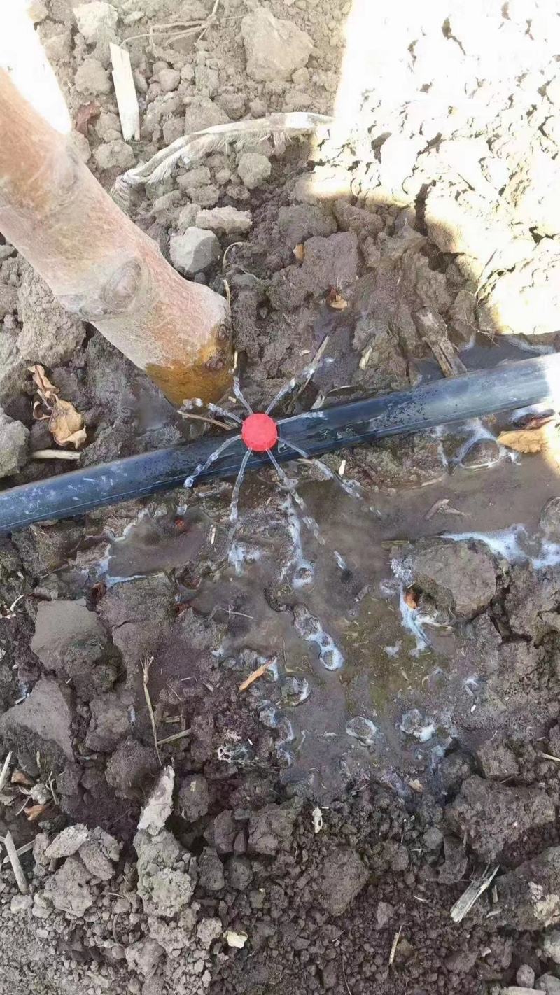 8孔流量可调节滴头小红帽果树滴灌可拆清洗厂家销售包邮
