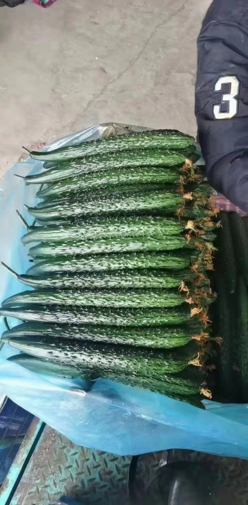 代卖，出售，全国各地黄瓜邯郸专业代卖四季蔬菜