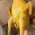 盐焗鸡盐焗鸭盐焗鸡腿盐焗鸡翅9成熟