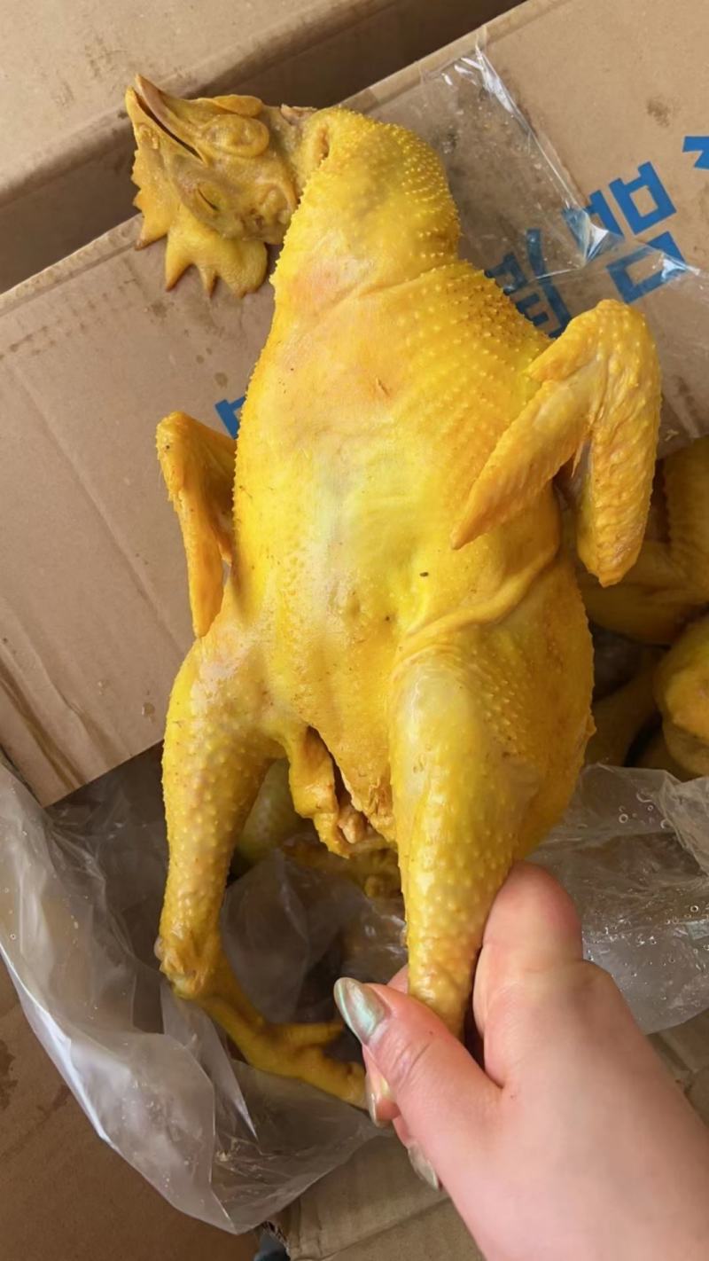 盐焗鸡盐焗鸭盐焗鸡腿盐焗鸡翅9成熟