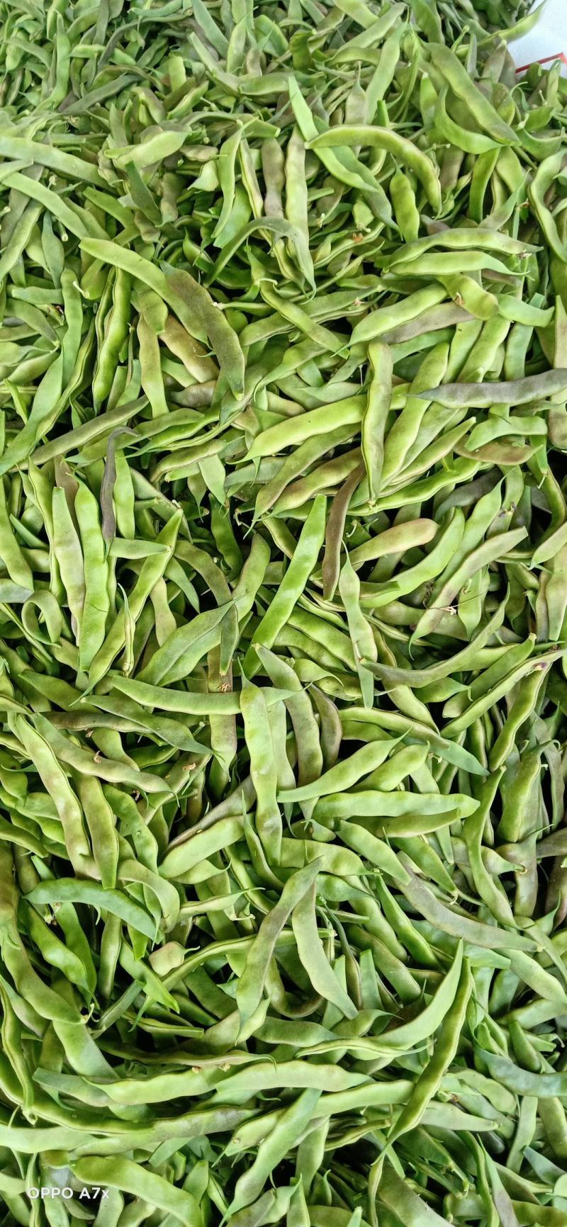 油豆