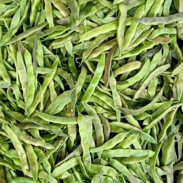 油豆