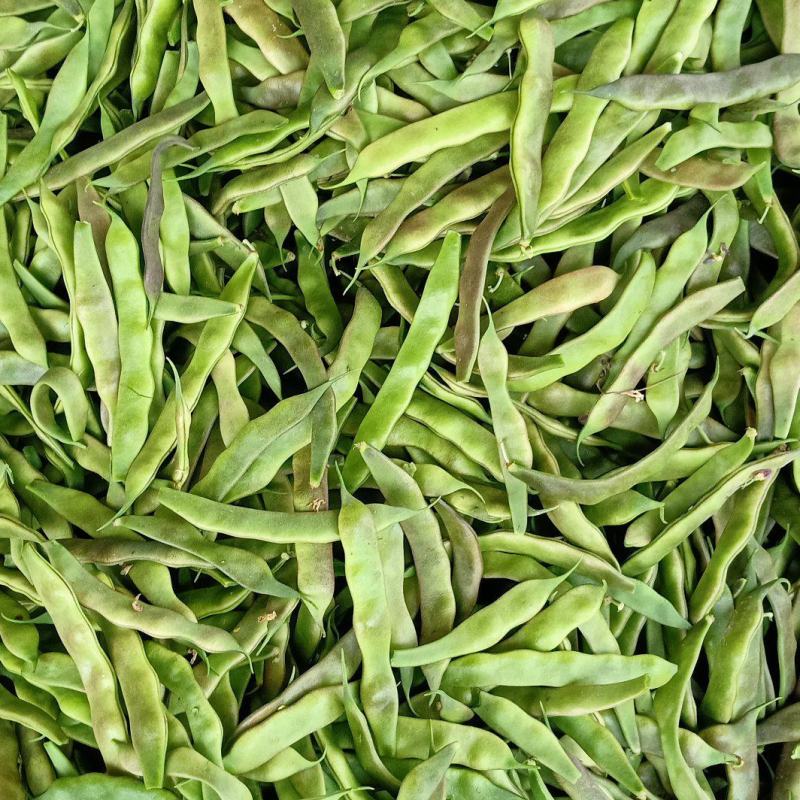 油豆