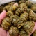 毛兰枫斗，平头枫斗，水草枫斗，马鞭石斛