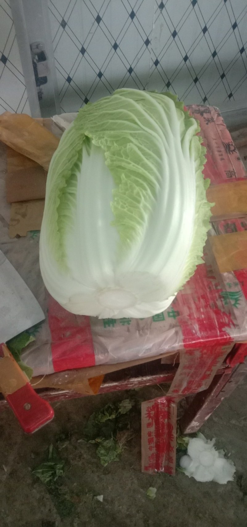 白菜甘肃定西临洮县大量有货可视频看货，量大从优