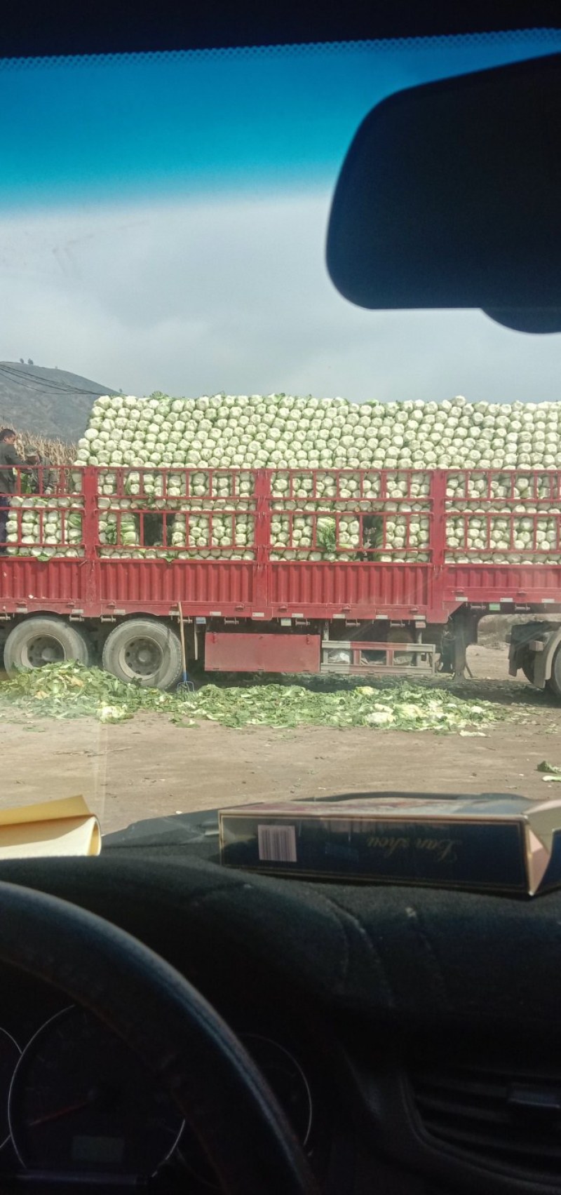 白菜甘肃定西临洮县大量有货可视频看货，量大从优