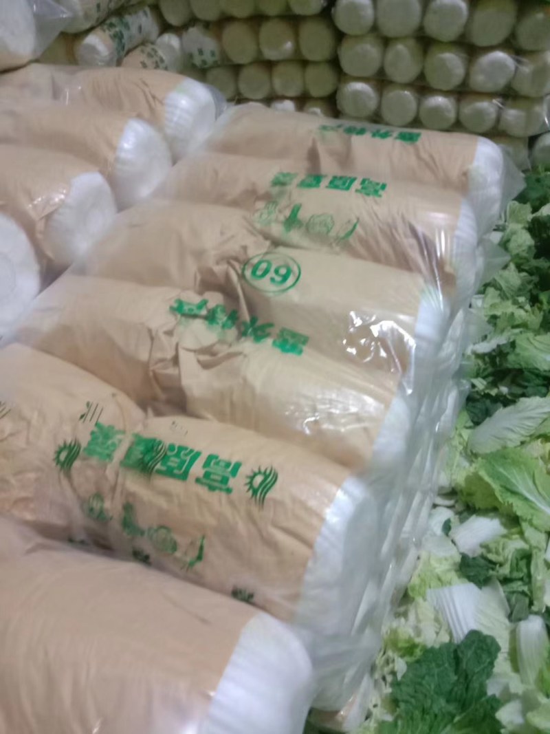 白菜甘肃定西临洮县大量有货可视频看货，量大从优