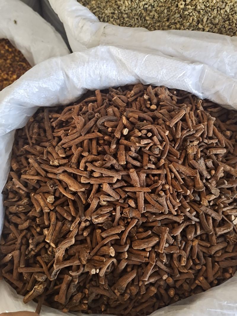 公英根蒲公英根大条规格无硫无断根地道中药材批发价