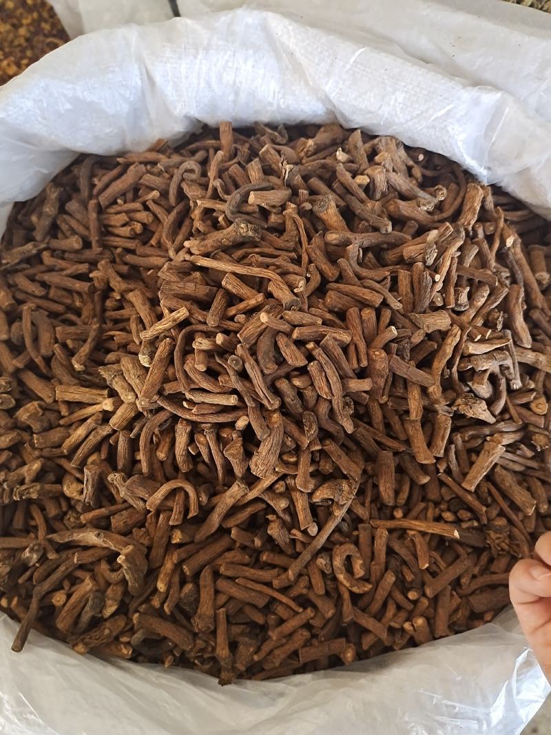 公英根蒲公英根大条规格无硫无断根地道中药材批发价