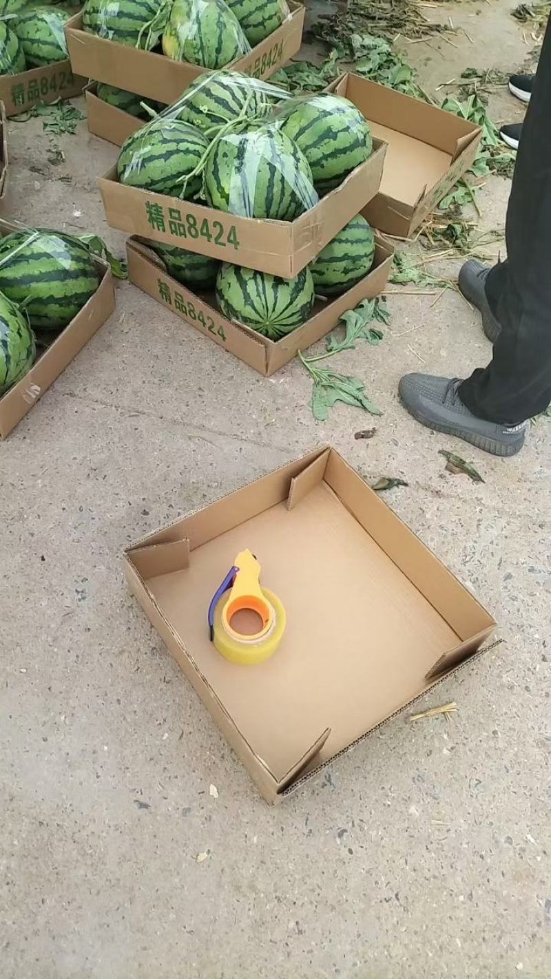 山东甜王西瓜产地价格口感甘甜，汁多，货源充足