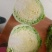 甘蓝定西临洮县甘蓝大量有货可视频看货，量大从优