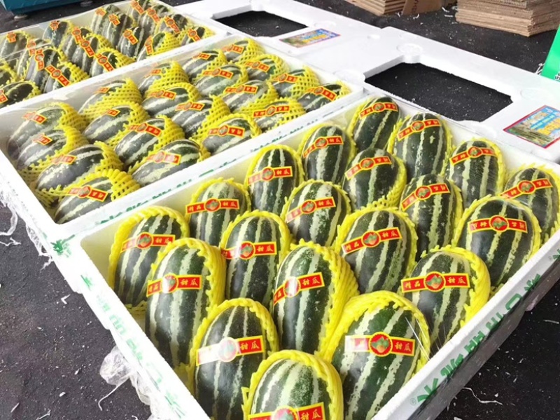 甜瓜品种齐全产地直发欢迎各位老板选购货源充足
