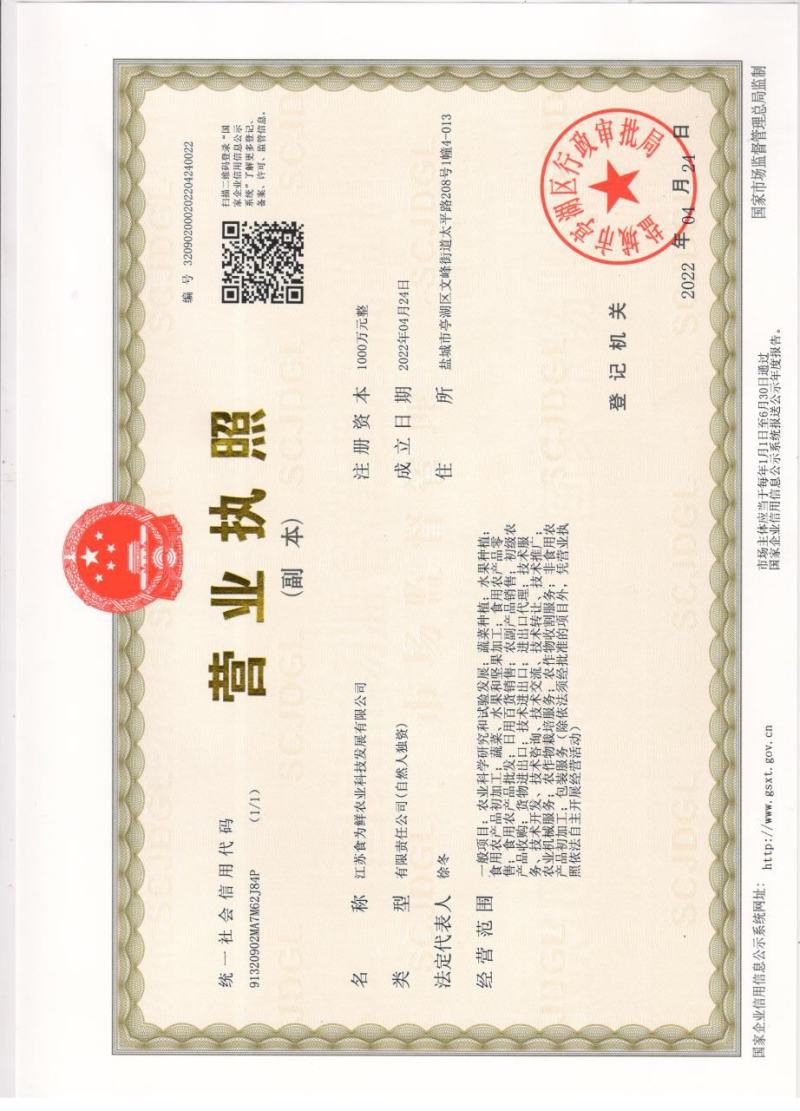 自种800亩扁包菜，找寻合作伙伴5月上旬到6月初