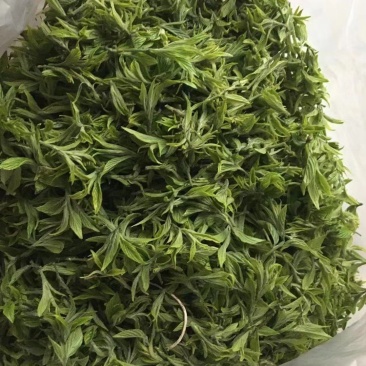 荷香叶量大从优一手货源及时发货欢迎联系
