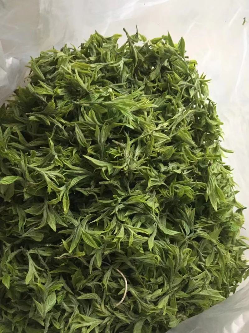 荷香叶量大从优一手货源及时发货欢迎联系