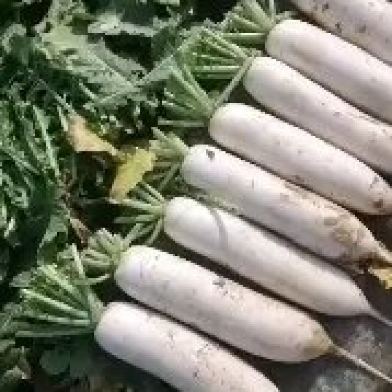 包地中