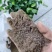 【热销】清瘟莲花中药渣添加饲料，养殖户专用
