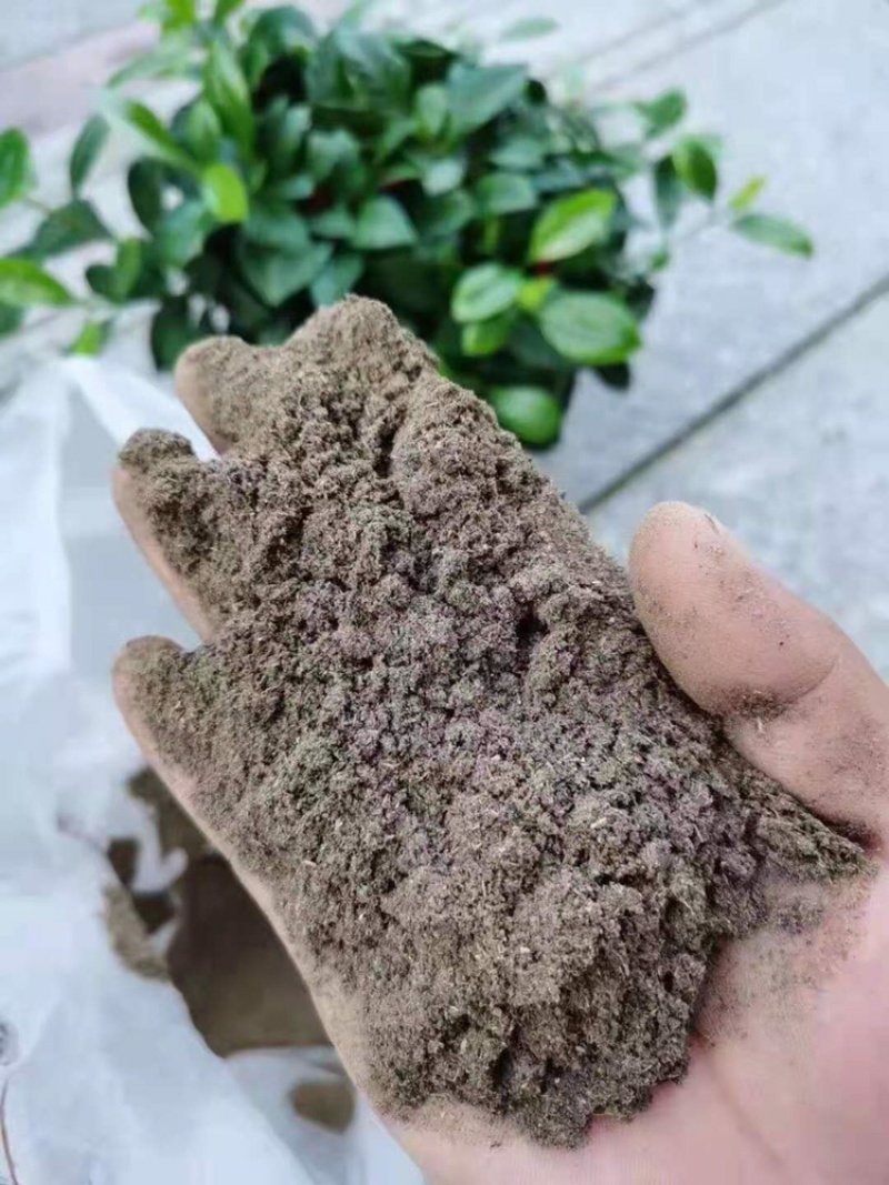 【热销】清瘟莲花中药渣添加饲料，养殖户专用