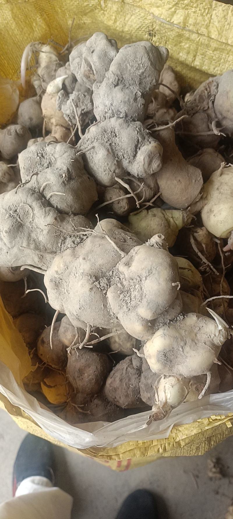 野生黄精各种规格都有欢迎下单包邮量大可以优惠