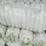 【推荐】湖北白萝卜清脆入口化渣价格美丽质量有保证欢迎咨询
