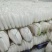 【推荐】湖北白萝卜清脆入口化渣价格美丽质量有保证欢迎咨询