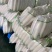 【推荐】湖北白萝卜清脆入口化渣价格美丽质量有保证欢迎咨询