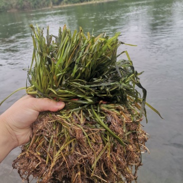 强大的团队，有需要老板联系