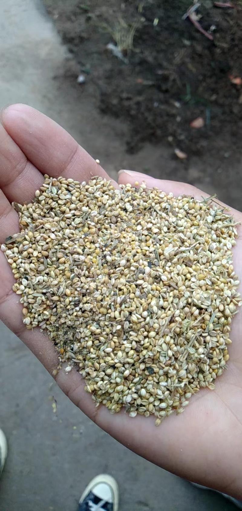 【热卖】小米糠谷子壳，饲料添加养殖场添加！货源充足