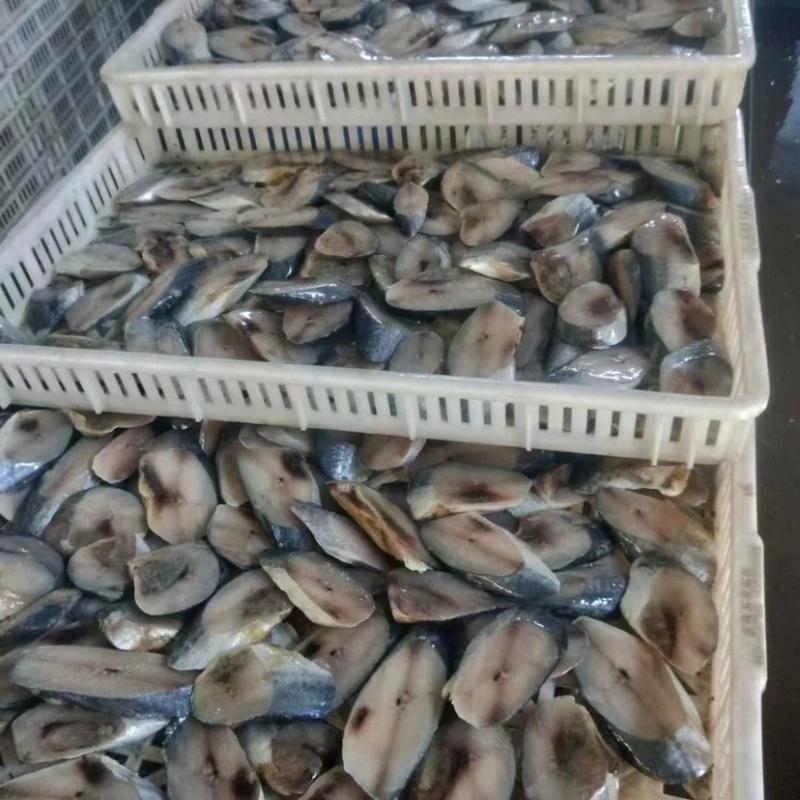 马鲛鱼都是新鲜马鲛鱼马鲛鱼切片鲜切马鲛鱼片