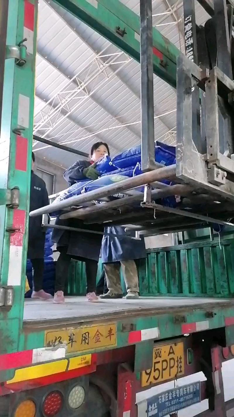黄腐酸钾水溶肥咖啡颗粒生根壮秧膨果着色活化土壤提高产量