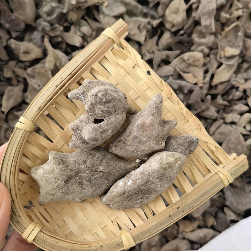 五倍子优选货实物拍摄重在品质货源充足欢迎选购
