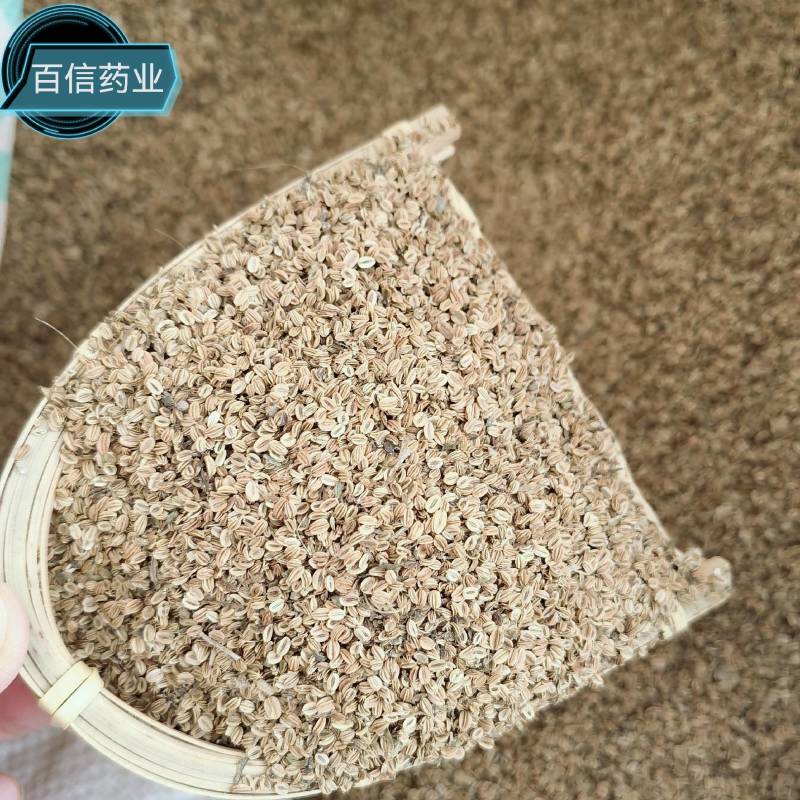 五倍子优选货实物拍摄重在品质货源充足欢迎选购