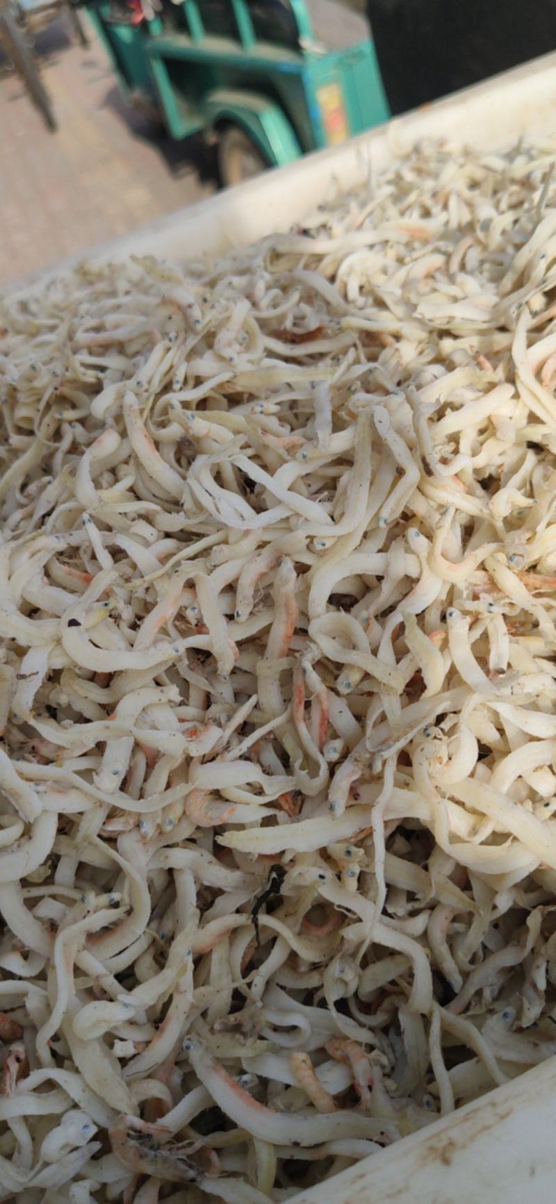 鱼干银鱼凤尾鱼干泥鳅鱼油炸麻辣小零食原料