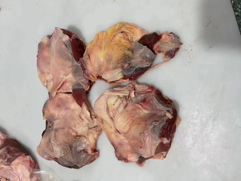 牛窝骨满筋满肉单个一斤左右适合卤炖烤