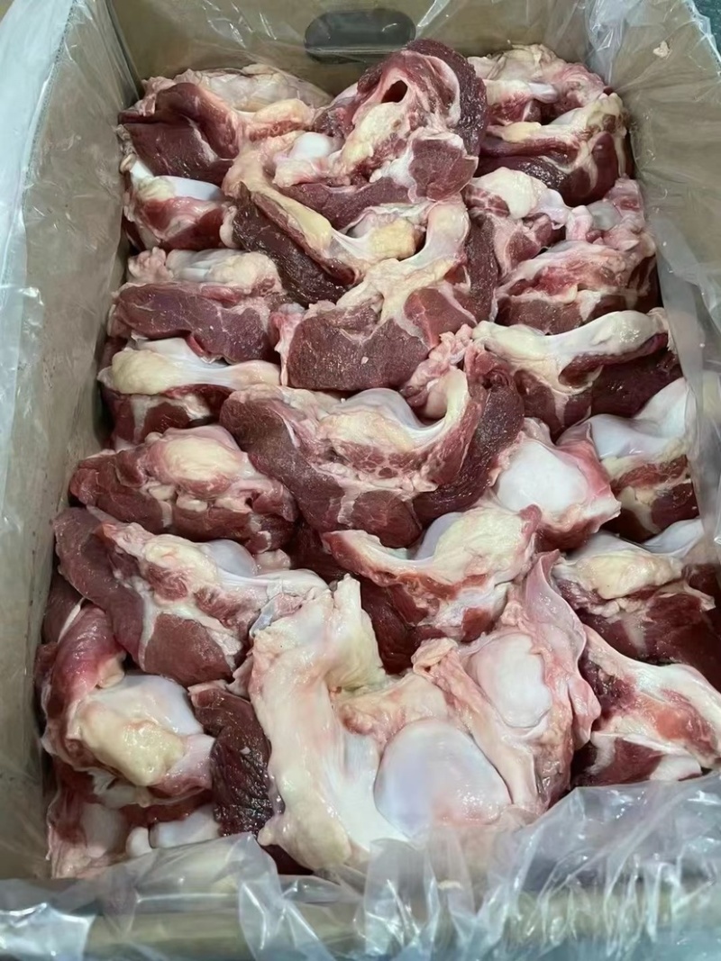 牛窝骨满筋满肉单个一斤左右适合卤炖烤