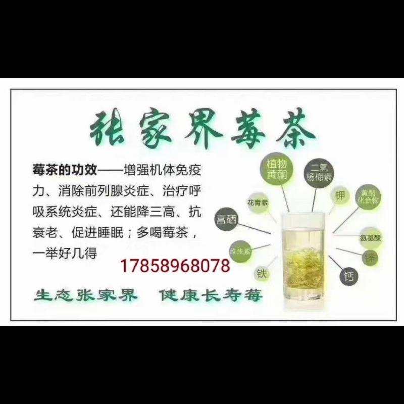 藤茶湖南省张家界市永定区罗塔坪乡自产自销