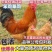笨鸡草鸡成品鸡