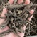 仙茅品仙茅货符合现行药典标准带检测报告