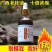 老肉桂油药用食用100g广西桂皮之乡玉桂精油肉桂油包邮