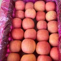 【27.9秒10斤】红富士苹果脆甜新鲜水果非冰糖心丑