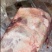 羊腿肉，纯干羔羊后腿包，独立包装，鲜冻。适合卤炖串串爆炒