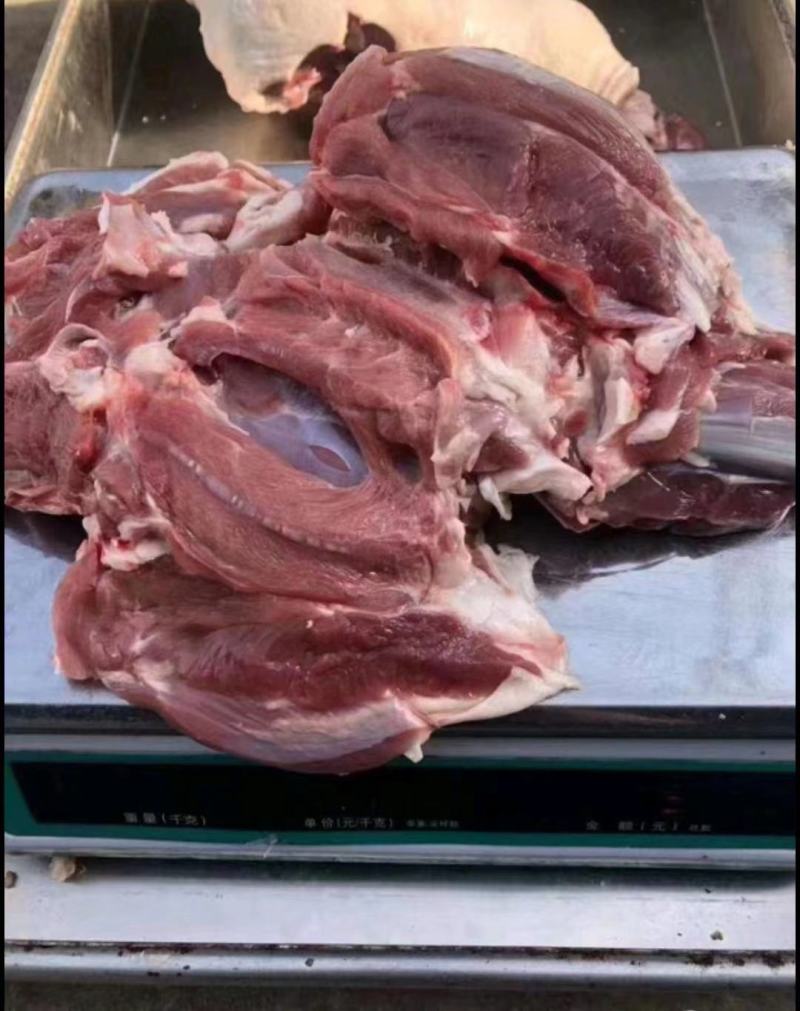羊腿肉，纯干羔羊后腿包，独立包装，鲜冻。适合卤炖串串爆炒