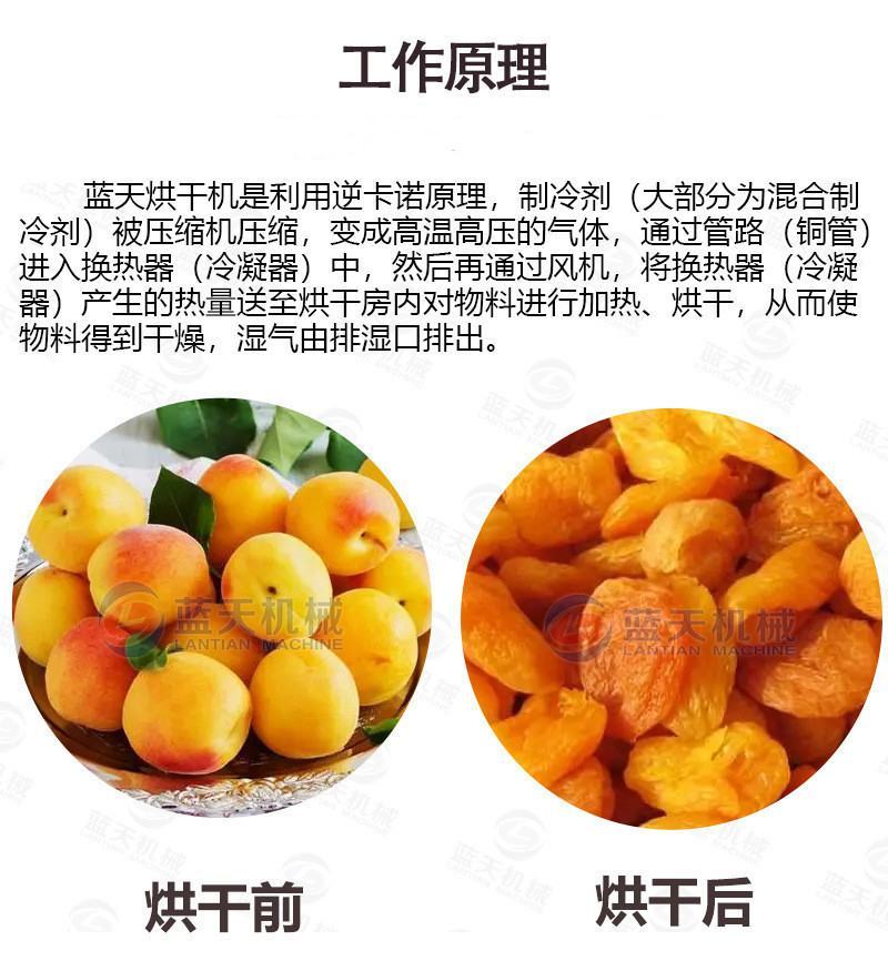 黄杏干烘干机商用电加热无核杏干杏子杏肉杏脯水果干烘干箱