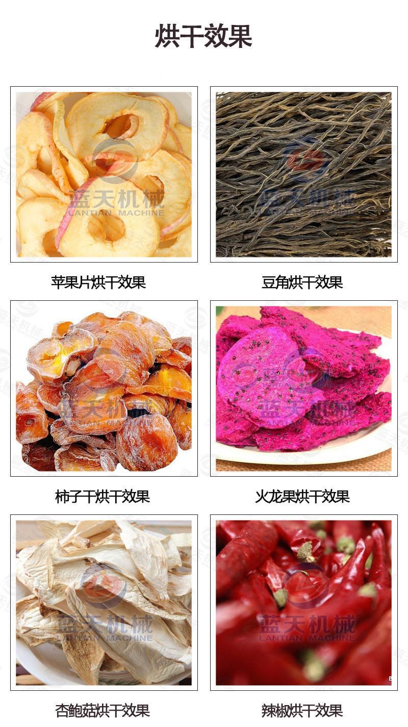 黄杏干烘干机商用电加热无核杏干杏子杏肉杏脯水果干烘干箱