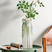 欧式玻璃花瓶创意简约透明水培绿萝植物干花瓶客厅插花桌面摆