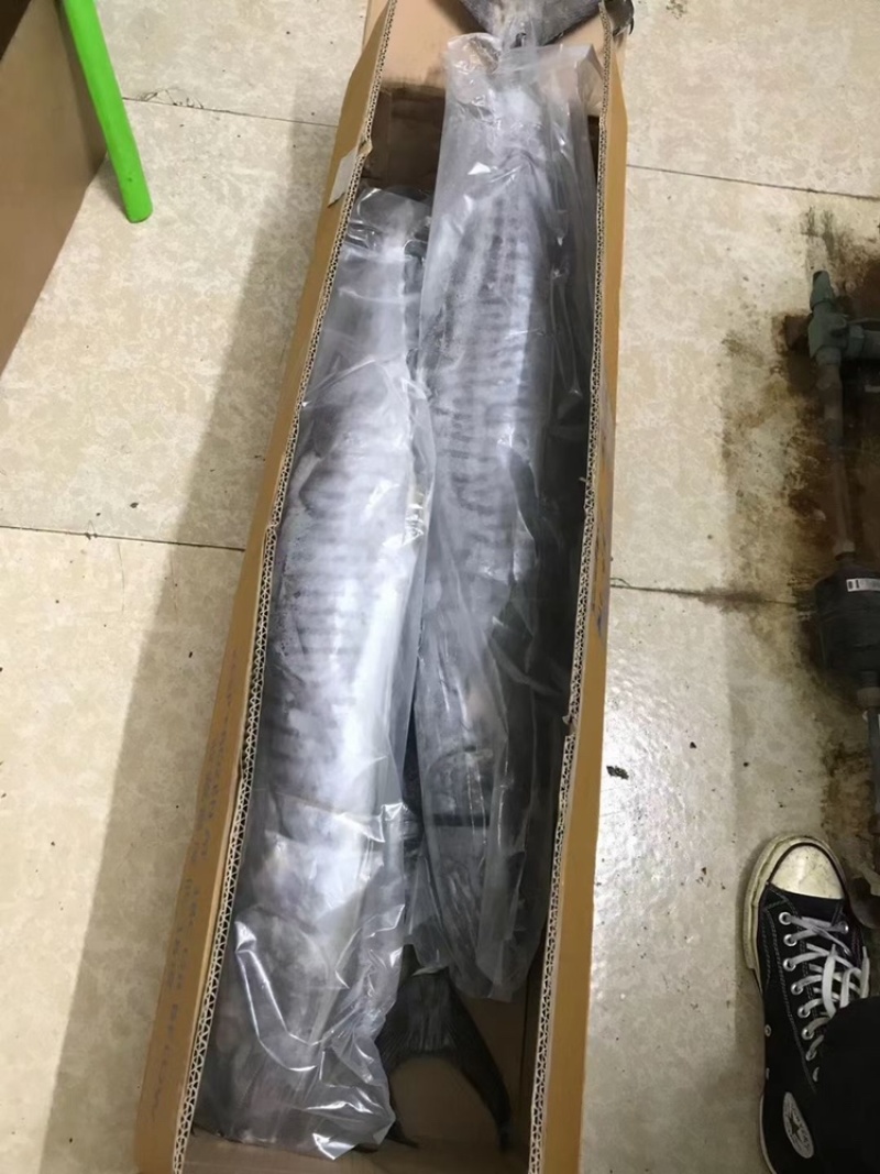 新鲜冷冻大马鲛鱼整条海鲜商用广东